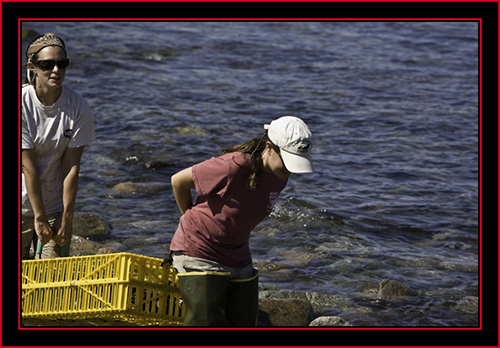 Janice & Pam Moving an Eider Crate - Petit Manan Island - Maine Coastal Islands National Wildlife Refuge