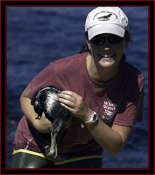 Pam with an Eider - Petit Manan Island - Maine Coastal Islands National Wildlife Refuge