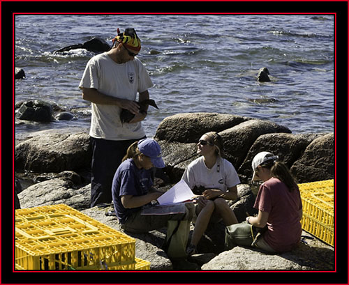 Michael, Alison, Janice & Pam at Banding Station - Petit Manan Island - Maine Coastal Islands National Wildlife Refuge