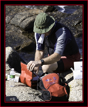 Pat Working with Samples - Petit Manan Island - Maine Coastal Islands National Wildlife Refuge