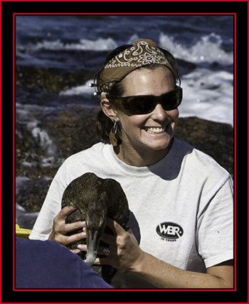 Just a Girl with her Duck... - Petit Manan Island - Maine Coastal Islands National Wildlife Refuge