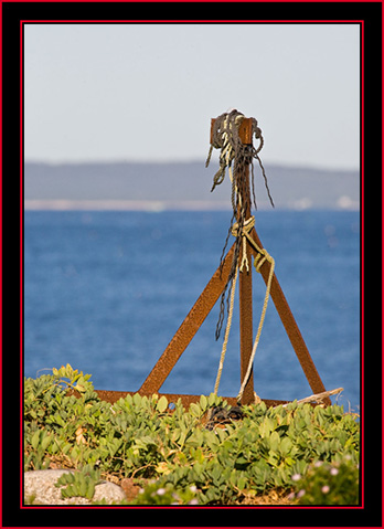 Local Color - Petit Manan Island - Maine Coastal Islands National Wildlife Refuge