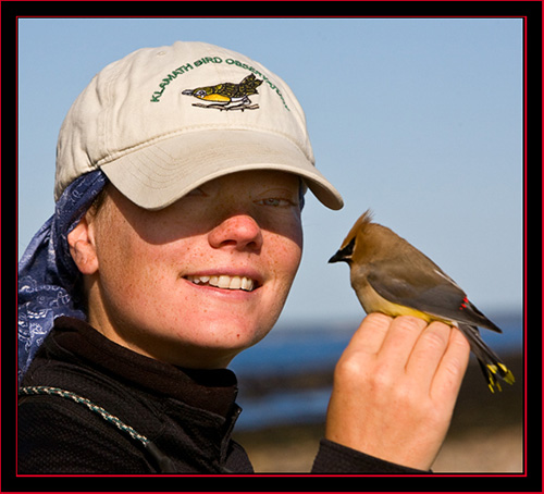 Pam with a Cedar Waxwing - Petit Manan Island - Maine Coastal Islands National Wildlife Refuge