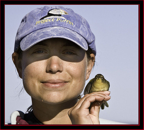 Alison with a Common Yellowthroat - Petit Manan Island - Maine Coastal Islands National Wildlife Refuge