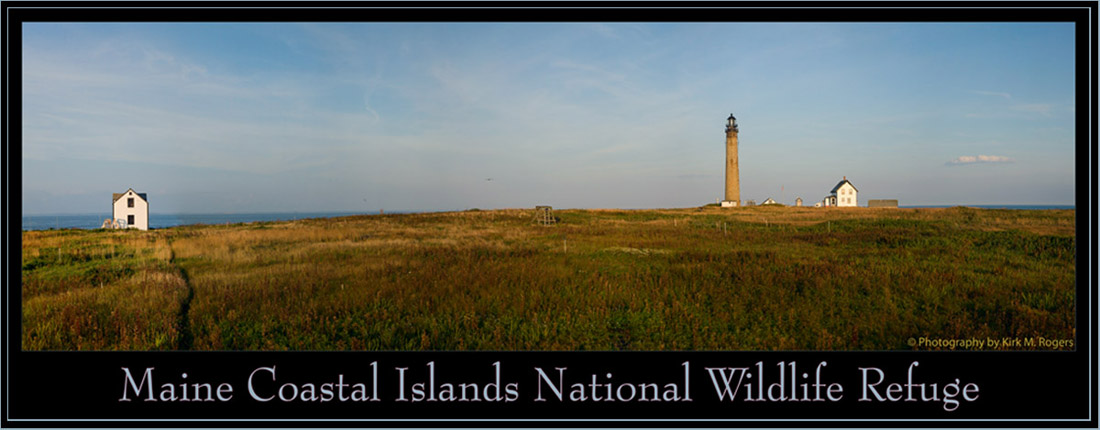 Petit Manan Island View - Maine Coastal Islands National Wildlife Refuge