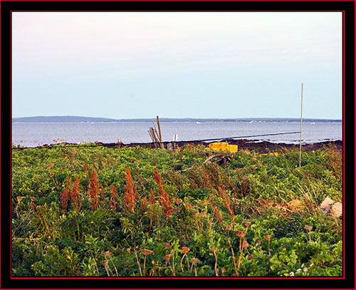 Island Scenery - Petit Manan Island - Maine Coastal Islands National Wildlife Refuge
