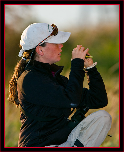 Pam Inspecting a Captured Common Yellowthroat - Petit Manan Island - Maine Coastal Islands National Wildlife Refuge