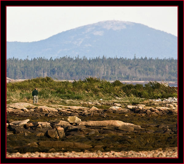 Kelsey Sullivan Looking for the Eider Flock from Green Island - Petit Manan Island - Maine Coastal Islands National Wildlife Refuge