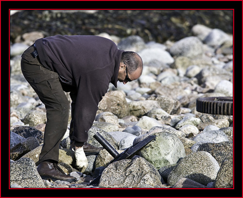 Michael Langlois Clearing the path in the Capture Zone - Petit Manan Island - Maine Coastal Islands National Wildlife Refuge