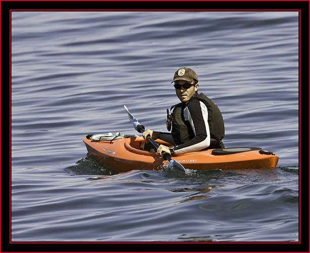 Steve in Kayak - Petit Manan Island - Maine Coastal Islands National Wildlife Refuge