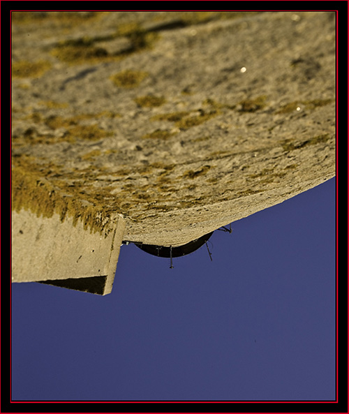 Looking up the Lighthouse - Petit Manan Island - Maine Coastal Islands National Wildlife Refuge