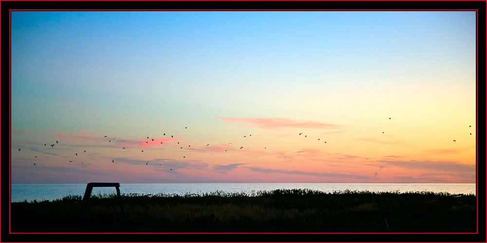 Sunset View - Petit Manan Island - Maine Coastal Islands National Wildlife Refuge