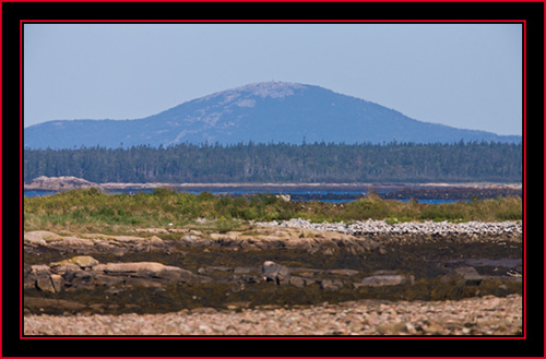 View from the Island - Petit Manan Island - Maine Coastal Islands National Wildlife Refuge