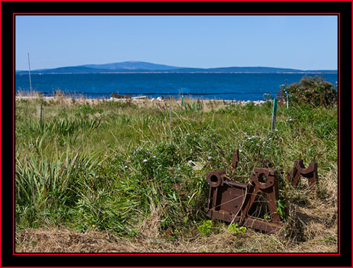 View on the Island - Petit Manan Island - Maine Coastal Islands National Wildlife Refuge