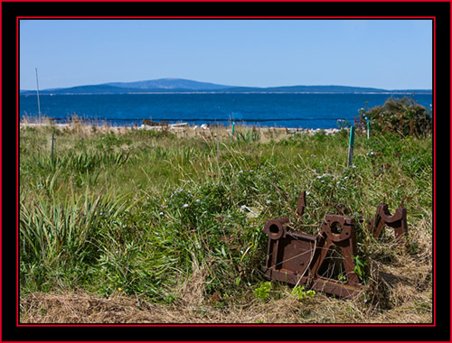View on the Island - Petit Manan Island - Maine Coastal Islands National Wildlife Refuge