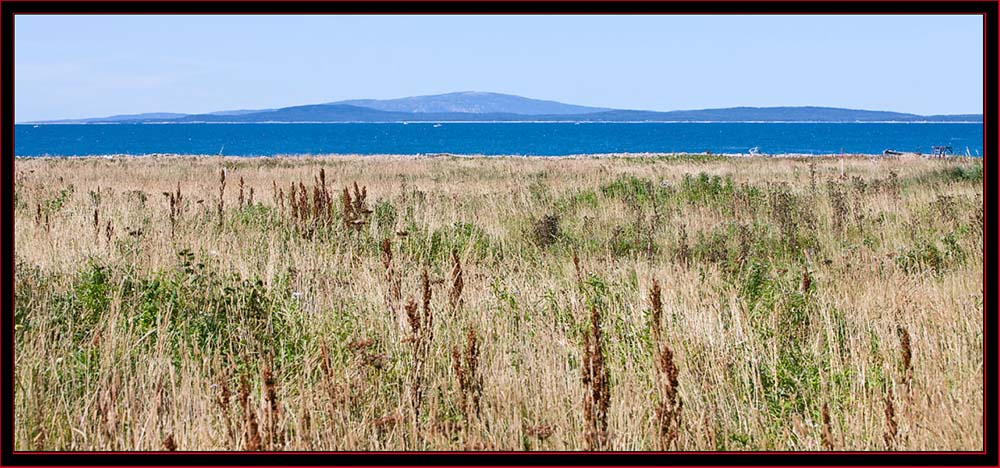 Seaward View - Petit Manan Island - Maine Coastal Islands National Wildlife Refuge