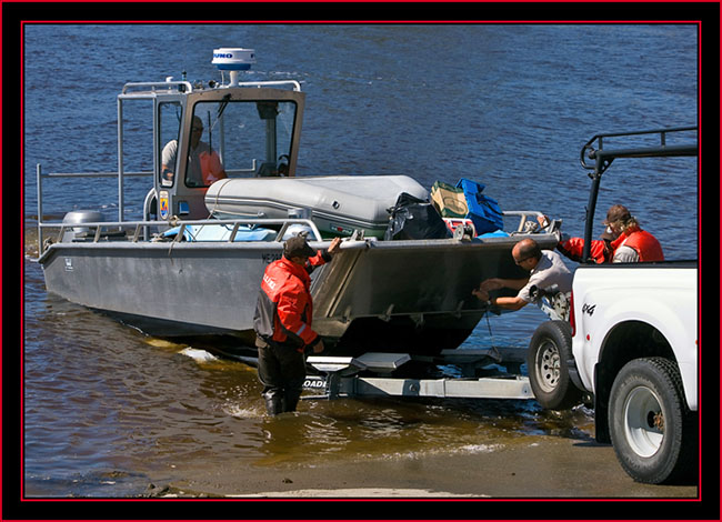 Pulling Out - Petit Manan Island - Maine Coastal Islands National Wildlife Refuge