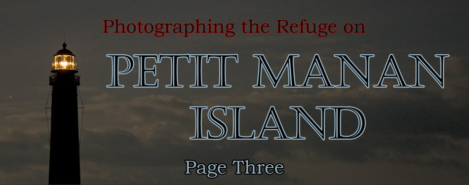 Photographing the Refuge on Petit Manan Island, Maine, Page Two