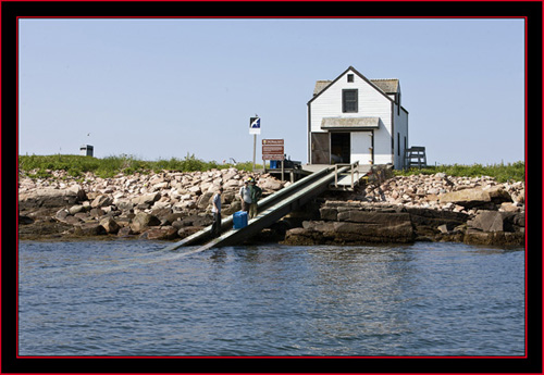 Island Crew Awaiting the Inflatible- Maine Coastal Islands National Wildlife Refuge