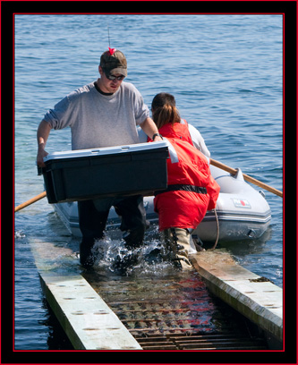 Matt Stevens Unloading Supplies - Maine Coastal Islands National Wildlife Refuge