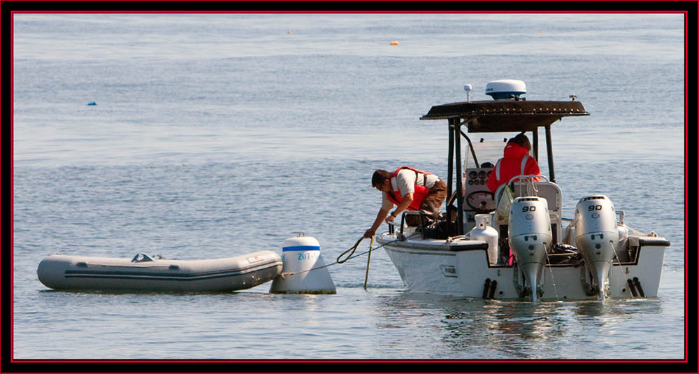 Unloading Process - Maine Coastal Islands National Wildlife Refuge