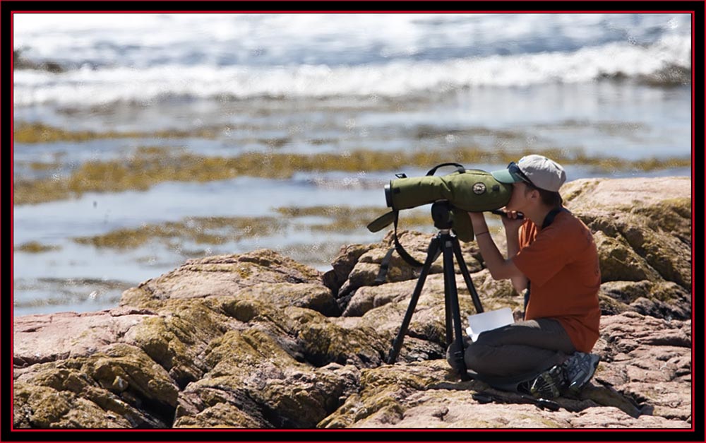 Kayla Pelletier in the Field- Maine Coastal Islands National Wildlife Refuge