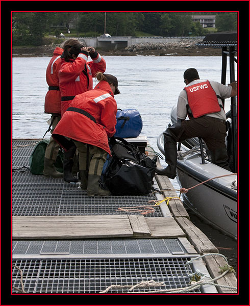 Loading/unloading the Boat - Maine Coastal Islands National Wildlife Refuge 