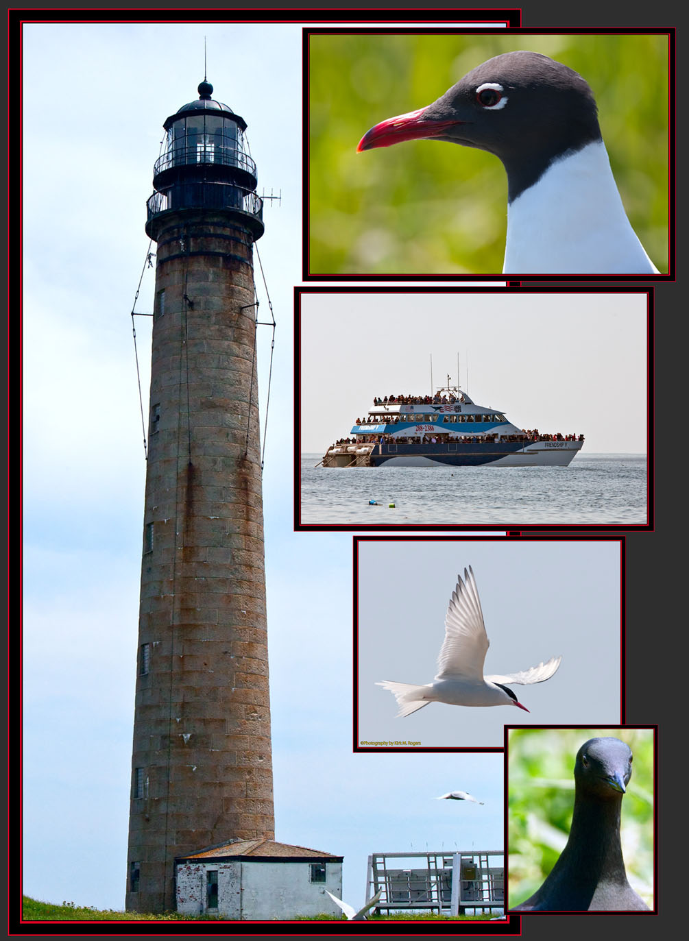 More Island Views - Maine Coastal Islands National Wildlife Refuge