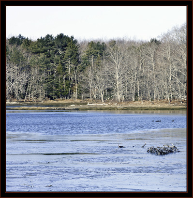 View Along the Road - Phippsburg, Maine