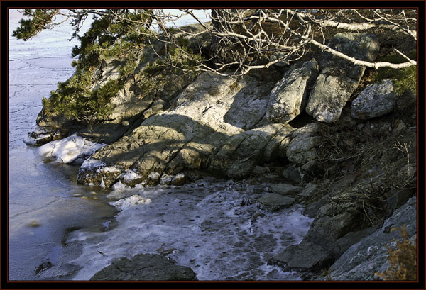 View Along the Road - Phippsburg, Maine