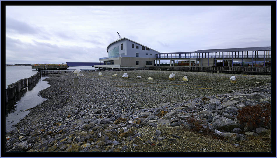 Ocean Gateway - 14 Ocean Pier, Portland, Maine