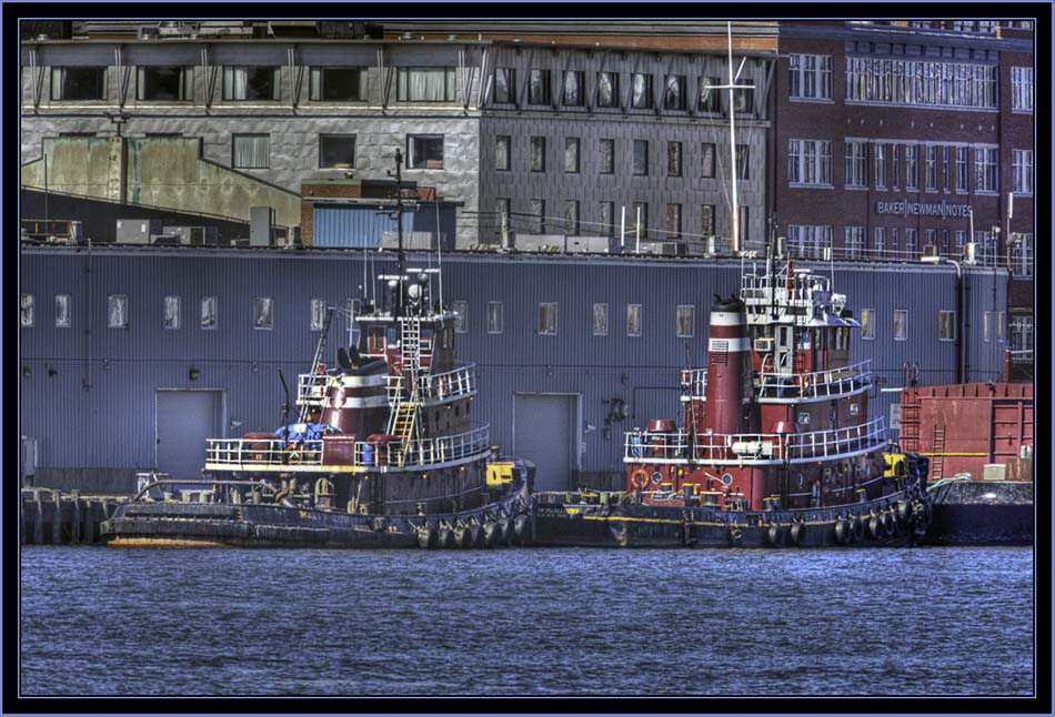 The Harbor's Working Tugboats