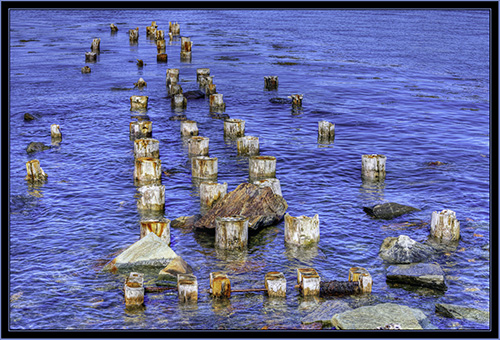 Abandoned Pilings at Portland Breakwater Lighthouse Park