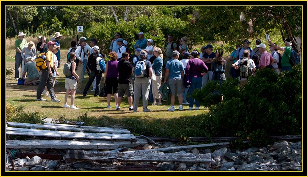 Forming Tour Groups - House Island