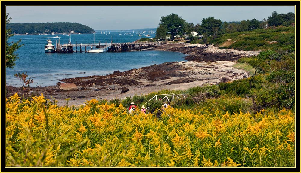 House Island View