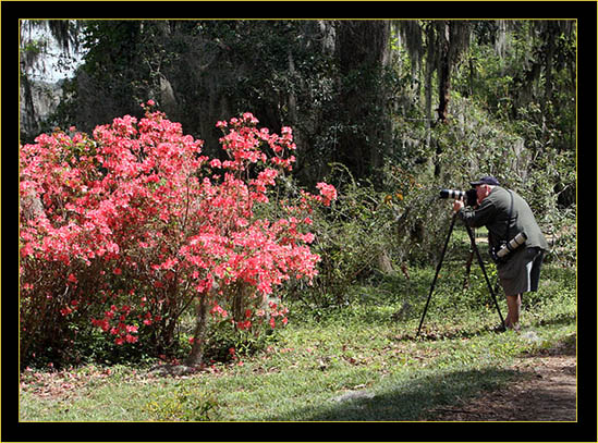 Kiro at the camera - photograph by Ken Schmidt