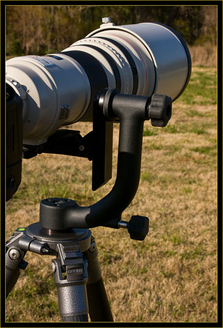 March 2008 equipment upgrades - Canon EF 600mm F/4L IS lens mounted