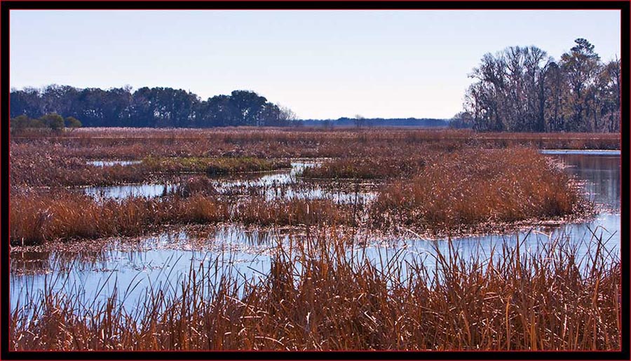 Landscape view in SNWR