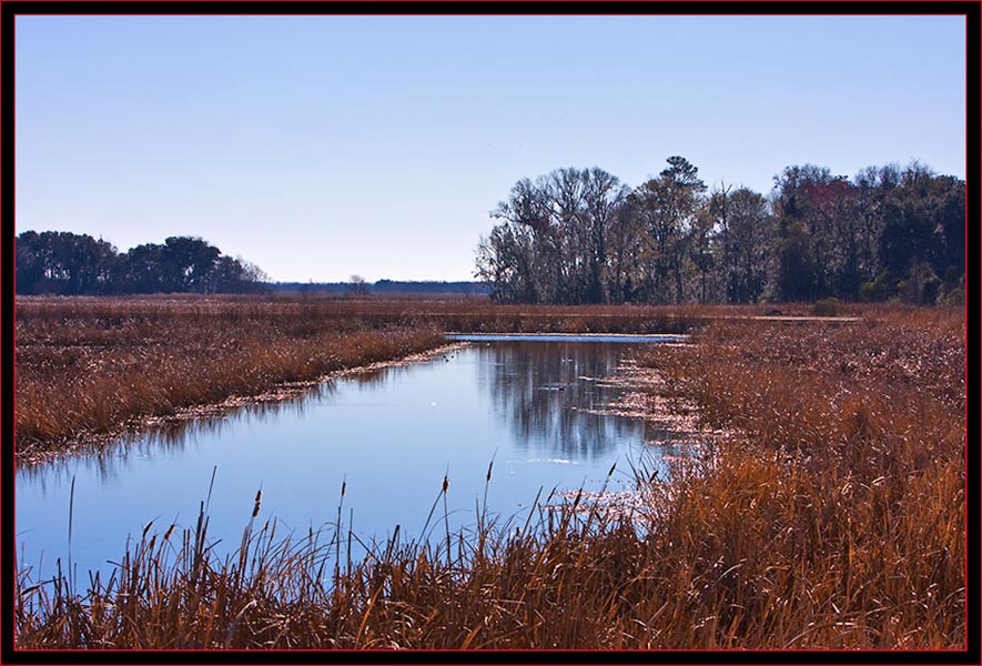 Landscape view in SNWR