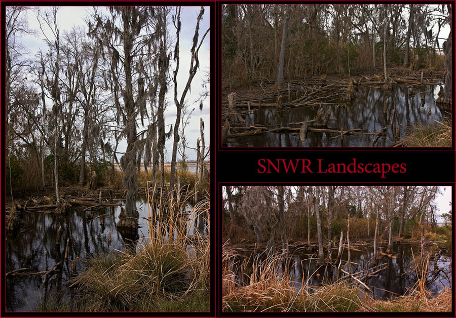 SNWR Landscapes