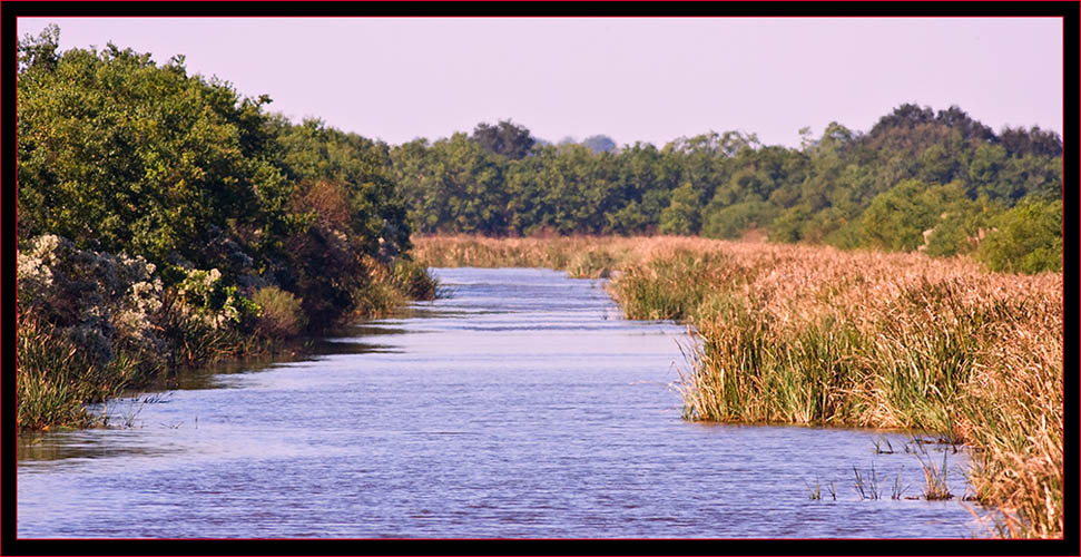 In Savannah National Wildlife Refuge