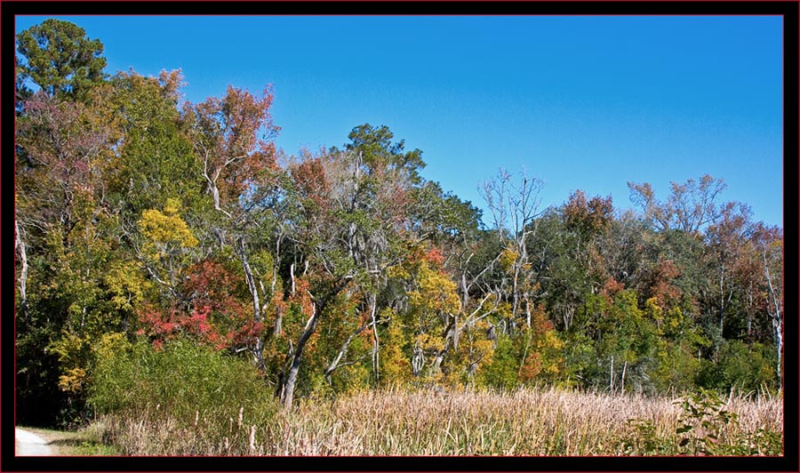 View in the refuge