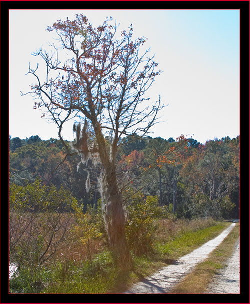 Along the Roadway