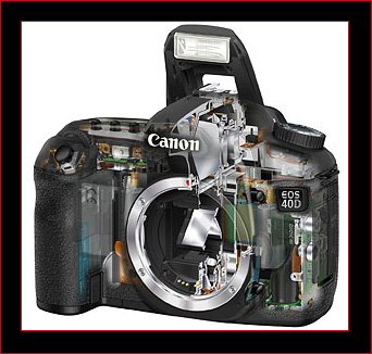 Canon EOS 40D Cutaway