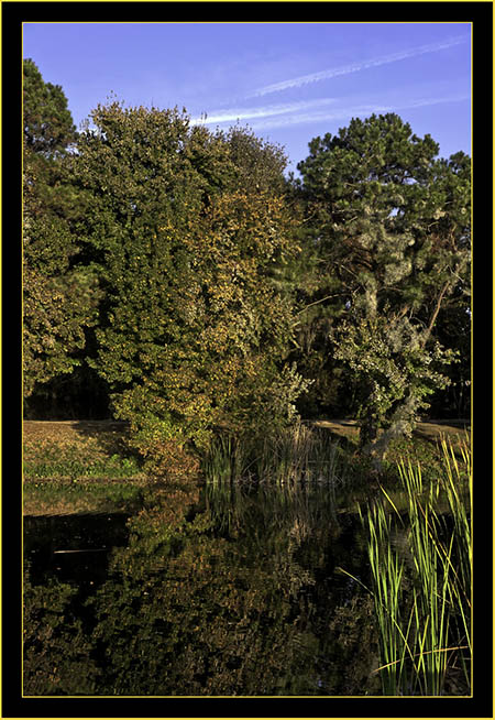 Lake Mayer Landscape, Savannah Georgia