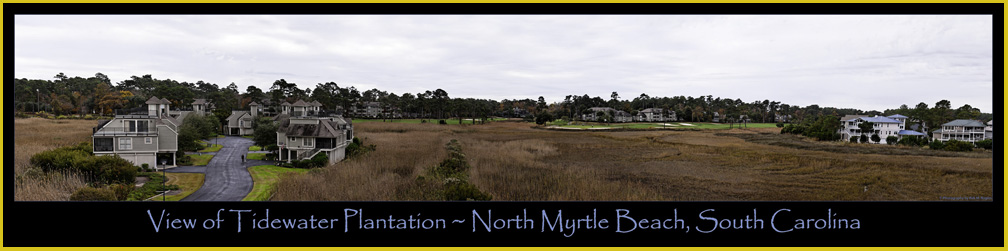 Tidewater Plantation View