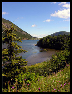 Larks Harbour View