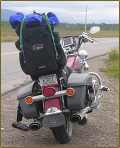 Road Dog in Newfoundland