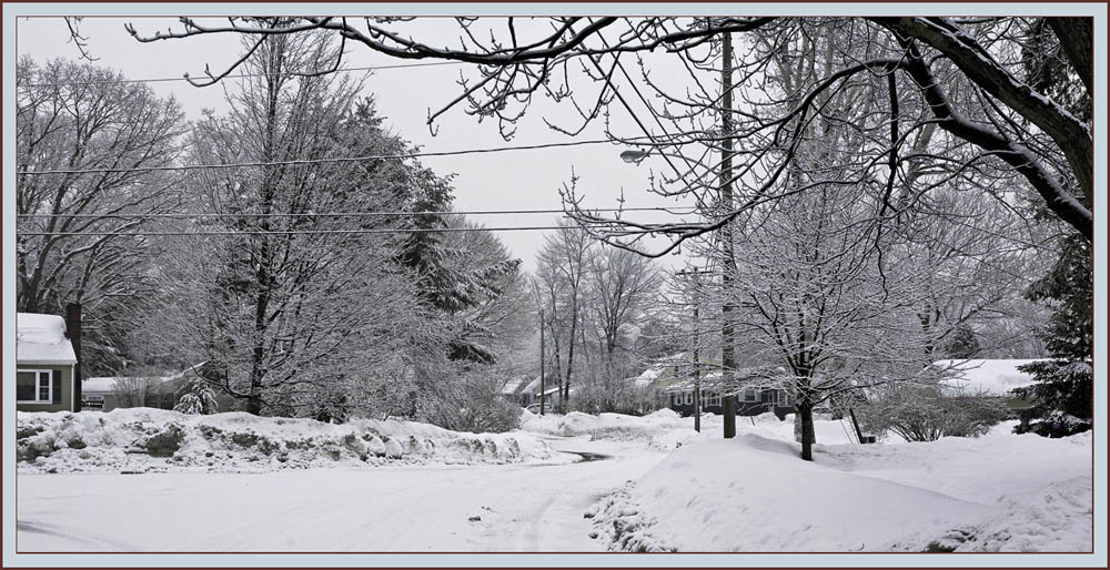 Neighborhood View Looking East - Portland, Maine